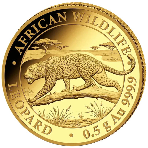 Somalia 2026 leopard - sh.,