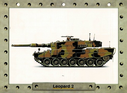 Leopard - (d), /